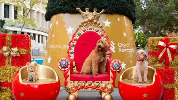 Newcastle Live Newcastle Live