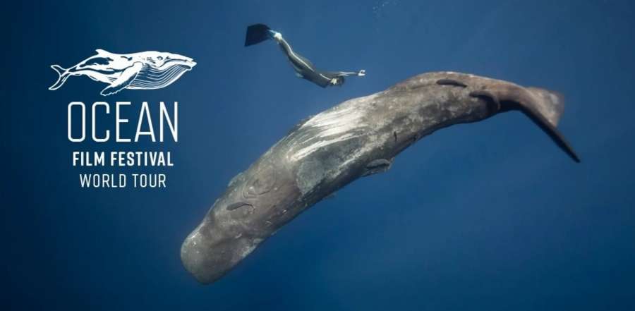 Avoca Beach Theatre - Ocean Film Festival