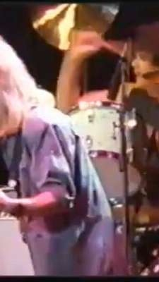 TEG DAINTY TEG DAINTY